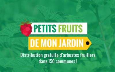 Petits fruits… de mon jardin